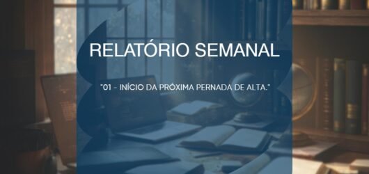 Relatório Técnico 11 | MAI | 2025
